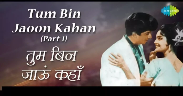 Tum Bin Jaoon Kahan Lyrics in Hindi pdf